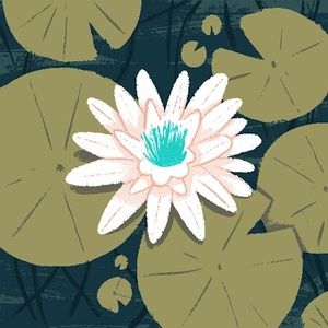 Meet your Posher, Lily